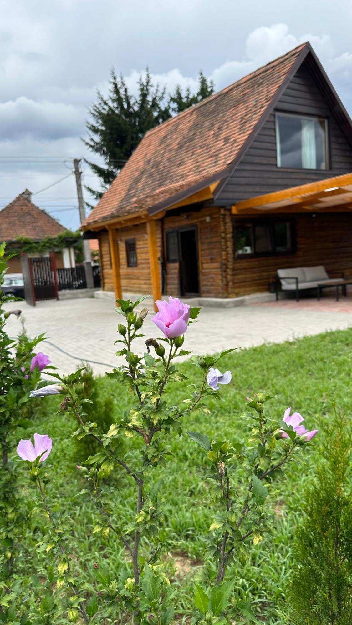 Casuta Cu Tihna Villa โปรุมบาคู เด ซุซ ภายนอก รูปภาพ
